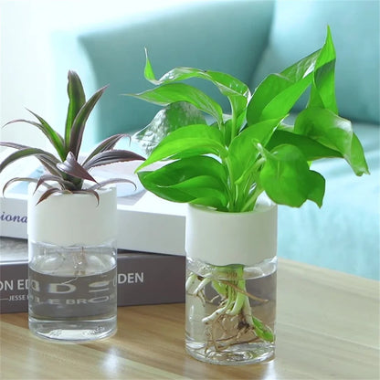 Mini Hydroponic Flower Pot Home Vase Decor Transparent Imitation Glass Soilless Plant Pots Green Plants Pot For Home Decorati