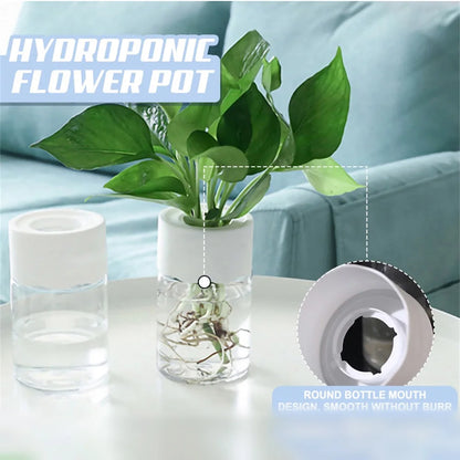 Mini Hydroponic Flower Pot Home Vase Decor Transparent Imitation Glass Soilless Plant Pots Green Plants Pot For Home Decorati