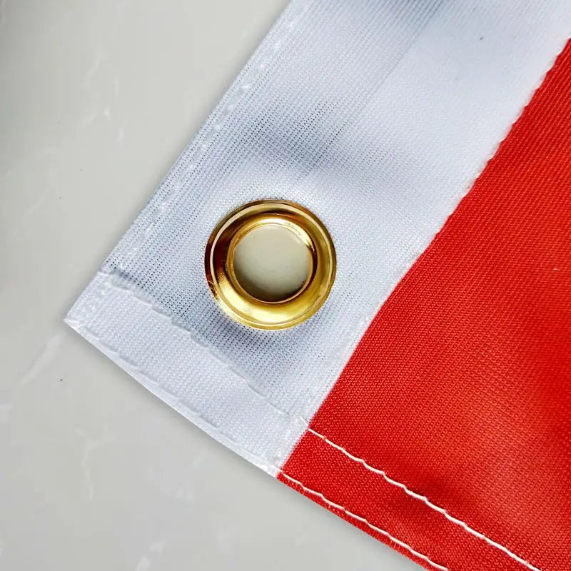 Graphic Custom Printed Flag Polyester Shaft Cover Brass Grommets Free Design Outdoor Advertising Banner Decoration Party Spor