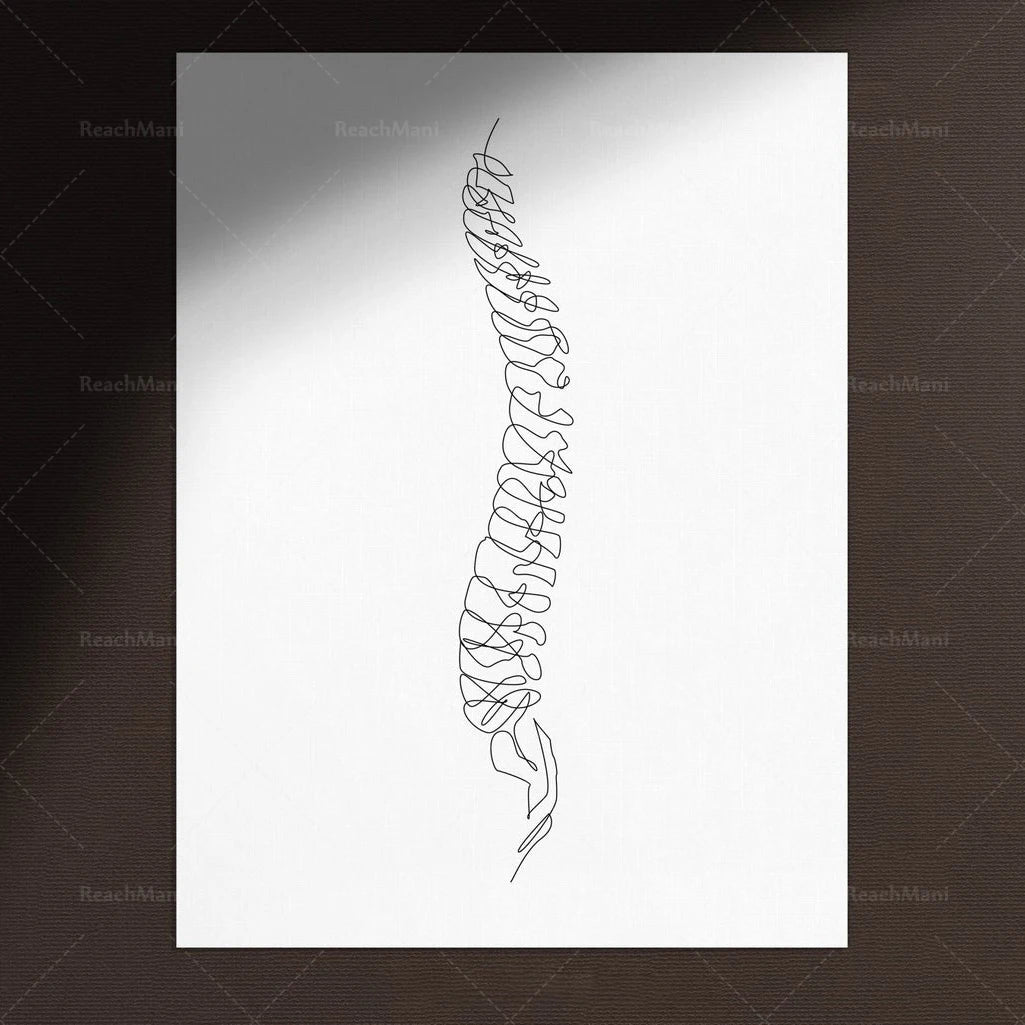 Abstract Medical Art Set of 4, Minimalist Chiropractic Art Prints, Simple Line Art Anatomy, Spine Art Poster, Vertebrae Drawi
