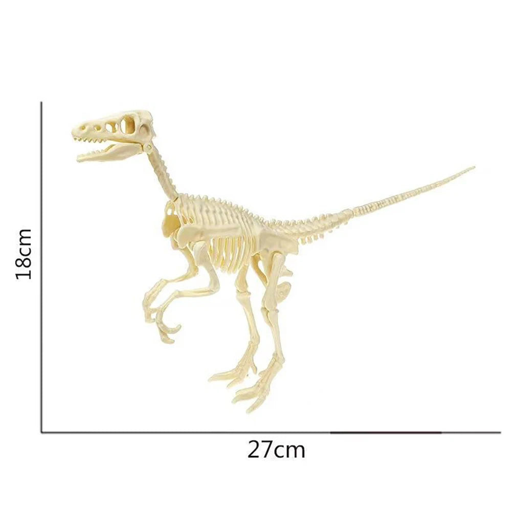 Simulation Dinosaur Fossil Plastic Skeleton Model Children's DIY Handmade Dinosaur Skeleton Assembly Kit Tyrannosaurus Rex Mo