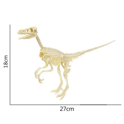 Simulation Dinosaur Fossil Plastic Skeleton Model Children's DIY Handmade Dinosaur Skeleton Assembly Kit Tyrannosaurus Rex Mo