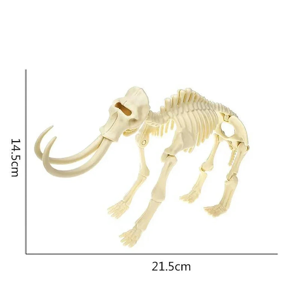 Simulation Dinosaur Fossil Plastic Skeleton Model Children's DIY Handmade Dinosaur Skeleton Assembly Kit Tyrannosaurus Rex Mo
