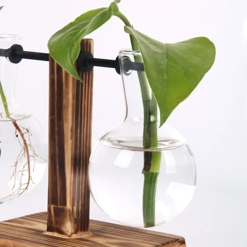 Hydroponic Plant Terrarium Vasevase Decoration Home Glass Bottle Hydroponic Desktop Decoration Office Green Plant Small Potte