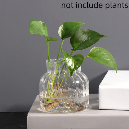 Transparent Glass Vases Hydroponic Plants Flower Arrangement Bottle Mini Retro Striped Vase Home Room Dinner Table Decor ﻿ - 