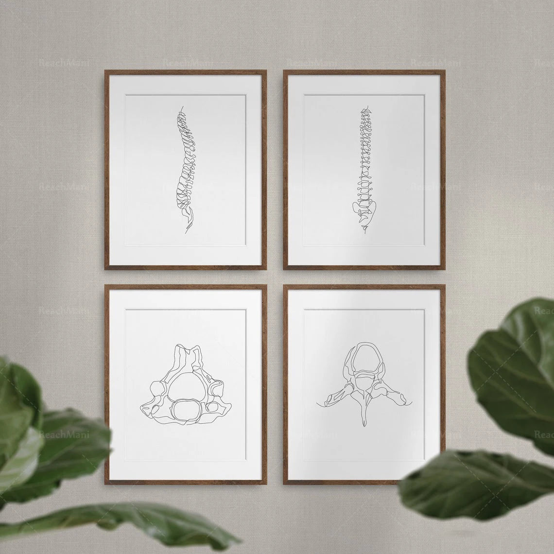 Abstract Medical Art Set of 4, Minimalist Chiropractic Art Prints, Simple Line Art Anatomy, Spine Art Poster, Vertebrae Drawi