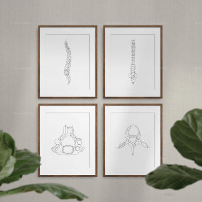 Abstract Medical Art Set of 4, Minimalist Chiropractic Art Prints, Simple Line Art Anatomy, Spine Art Poster, Vertebrae Drawi