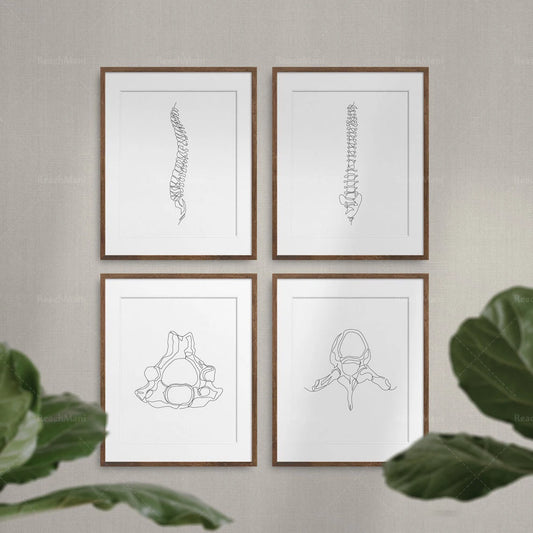 Abstract Medical Art Set of 4, Minimalist Chiropractic Art Prints, Simple Line Art Anatomy, Spine Art Poster, Vertebrae Drawi