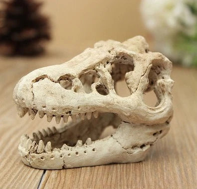 Dinosaur Fossil Model Fish Tank Aquarium Artificial Decoration Landscaping Ornaments Horror Props Art Deco Handicrafts Orname