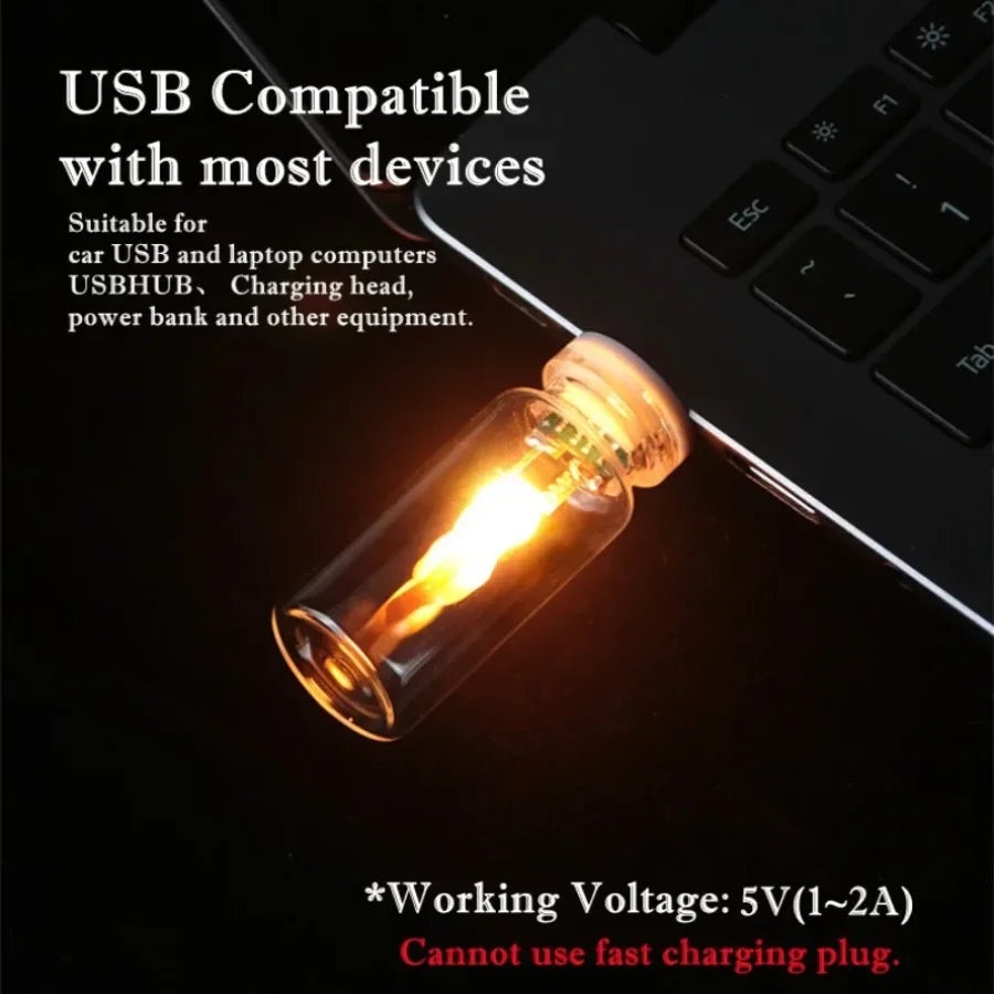 USB Flame Flickering LED Frosted Clear Glass Candle Night Light Simulated Flame