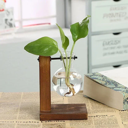 Hydroponic Plant Terrarium Vasevase Decoration Home Glass Bottle Hydroponic Desktop Decoration Office Green Plant Small Potte