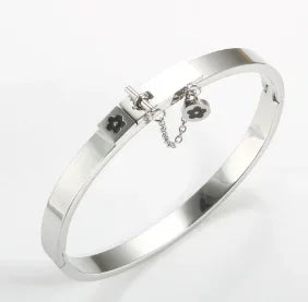 Stainless Steel With Zirconia Bracelet Bangle Simple Jewelry - B17 Silver