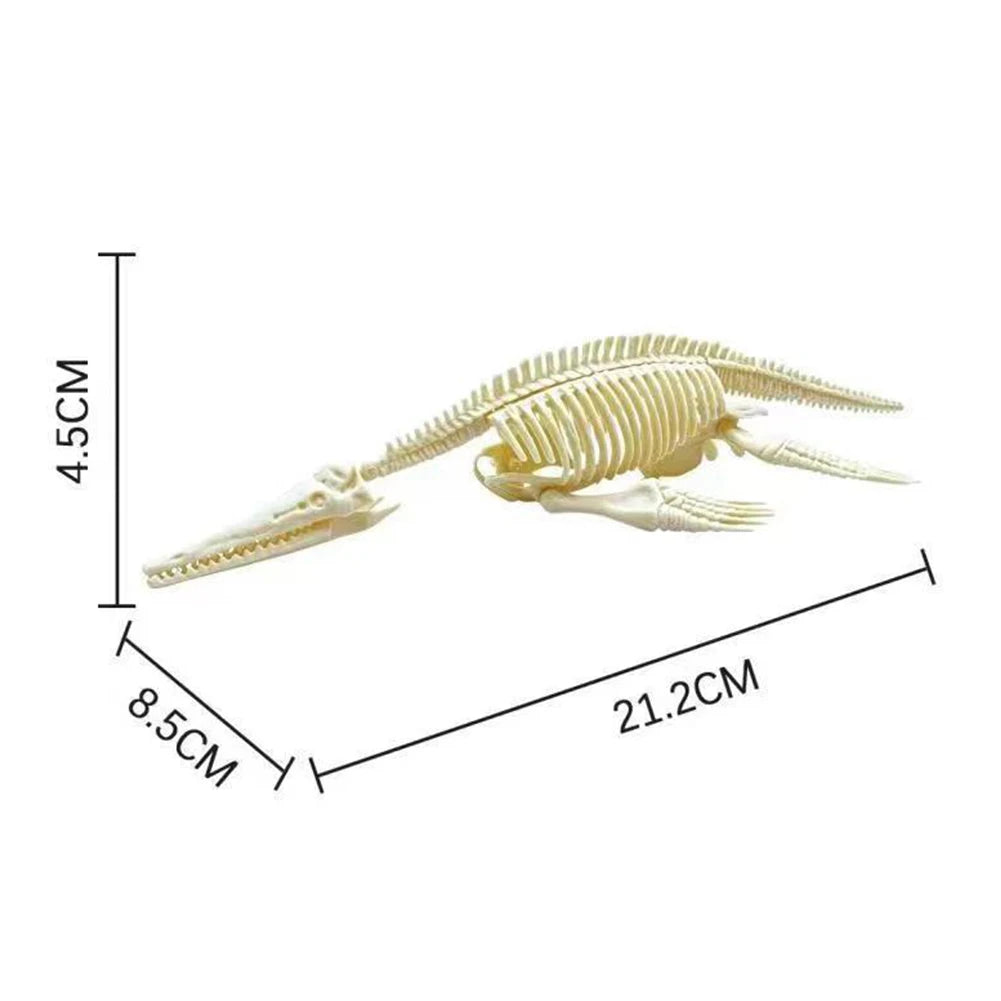 Simulation Dinosaur Fossil Plastic Skeleton Model Children's DIY Handmade Dinosaur Skeleton Assembly Kit Tyrannosaurus Rex Mo