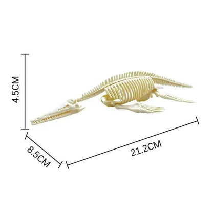 Simulation Dinosaur Fossil Plastic Skeleton Model Children's DIY Handmade Dinosaur Skeleton Assembly Kit Tyrannosaurus Rex Mo