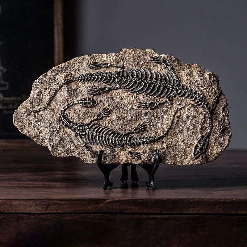 Simulated Dinosaur Fossil Model Resin Accessories Art Home Living Room Statue Decoration Items Study Office Sculpture Ornamen