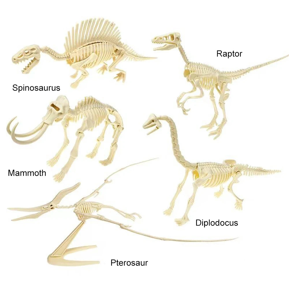 Simulation Dinosaur Fossil Plastic Skeleton Model Children's DIY Handmade Dinosaur Skeleton Assembly Kit Tyrannosaurus Rex Mo