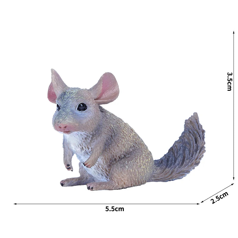 Simulation Wild Animal Model Wolf Monkey Fox Pangolin Squirrel Chinchilla Donkey Sloth Realistic Animal Figures Toys For Kids