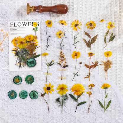 40 pcs/pack Vintage Dried flower Leaf specimen Stickers aesthetic Creativity Decor Junk Journal Scrapbooking Material Supplie