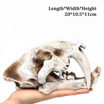 Dinosaur Skull Model Velociraptor Fossil Resin Skull Lifelike Dinosaur Skeleton Statue Figurine Aquarium Decorations Accessor