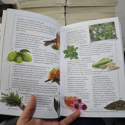 2026Sustain Me The 9 Foundational Pillars for Health Guide Book A Handbook of Natural Remedies in English Paperback