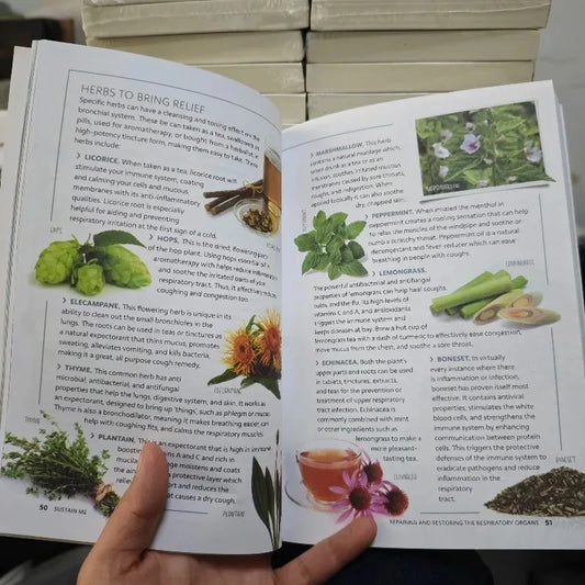 2026Sustain Me The 9 Foundational Pillars for Health Guide Book A Handbook of Natural Remedies in English Paperback