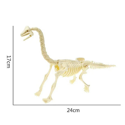 Simulation Dinosaur Fossil Plastic Skeleton Model Children's DIY Handmade Dinosaur Skeleton Assembly Kit Tyrannosaurus Rex Mo