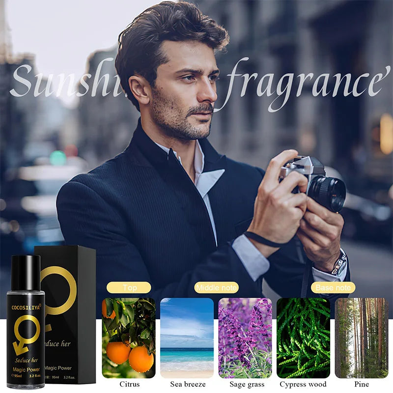 Essential Oil Diffuser 500ml For Home Fragrances DIY Perfume