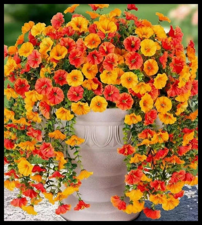 Artificial Flowers Vine Morning Glory Wedding Wreath Home Room Valentine's Decor Outdoor Yard Pretty Hanging Arch DIY Gift Pr