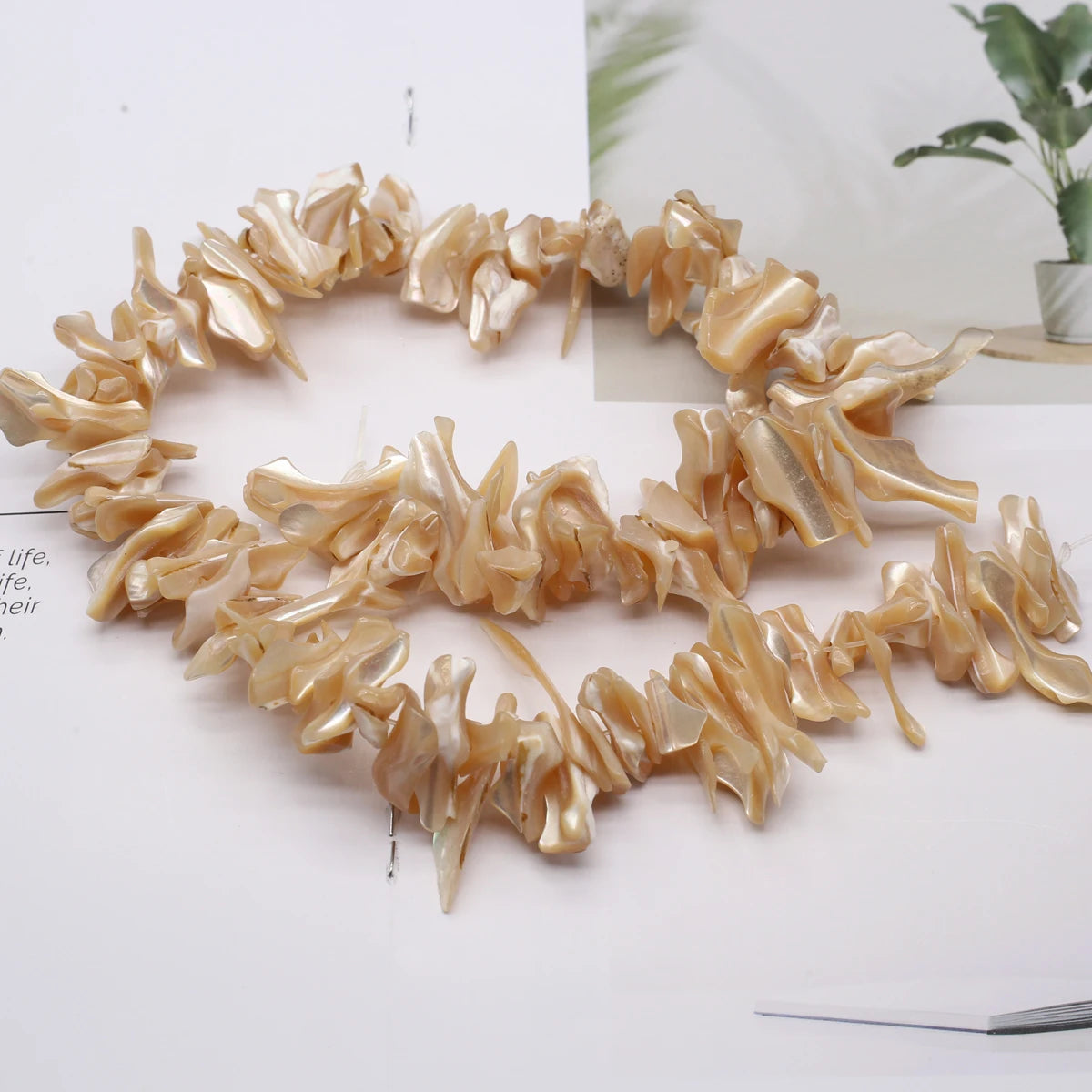 Natural Freshwater Shell Beading 18-25mm Irregular White Shell Loose Beads for Jewelry Making DIY Necklaces Bracelet Accessor