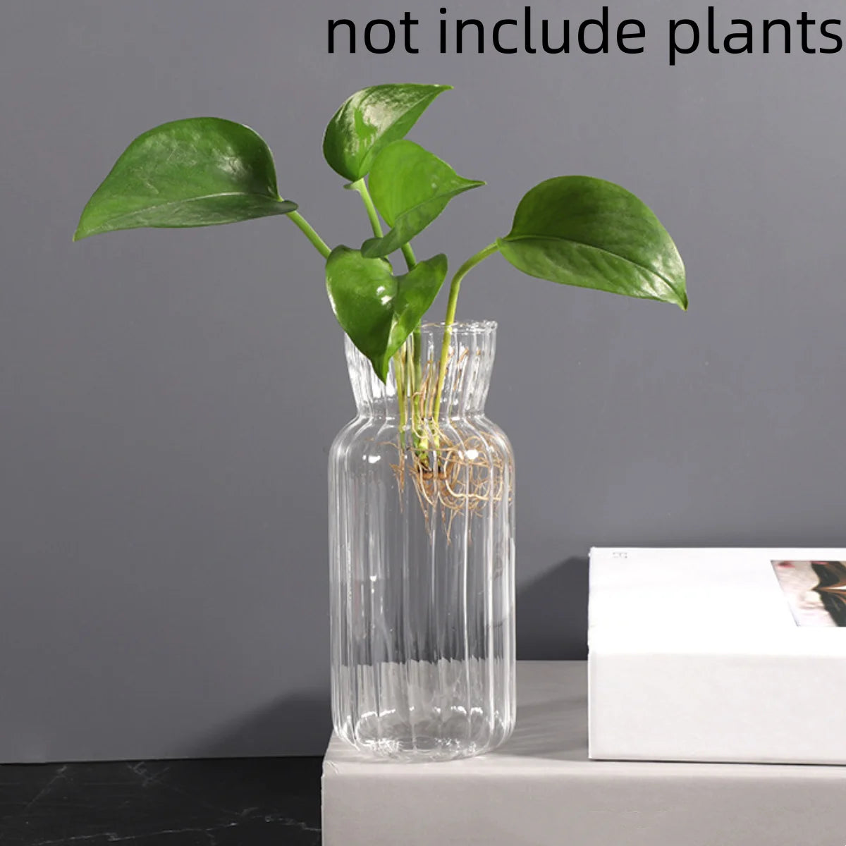 Transparent Glass Vases Hydroponic Plants Flower Arrangement Bottle Mini Retro Striped Vase Home Room Dinner Table Decor ﻿ - 