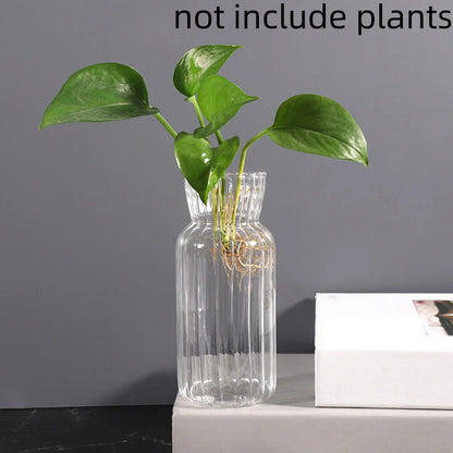 Transparent Glass Vases Hydroponic Plants Flower Arrangement Bottle Mini Retro Striped Vase Home Room Dinner Table Decor ﻿ - 
