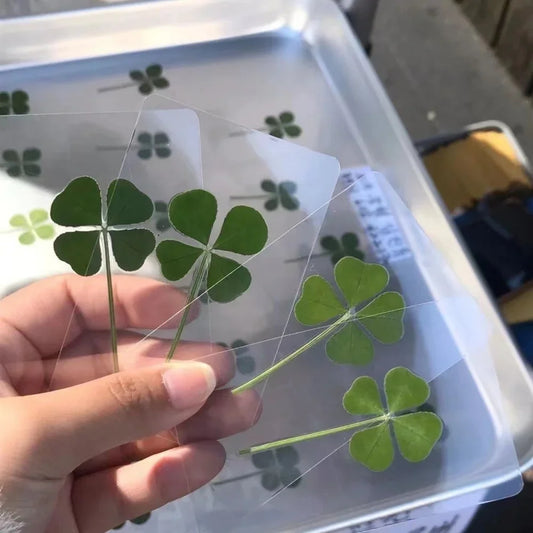 5Pcs Lucky Clover Postcards Grass Transparent Wishing Cards Ideal for Bookmarks & Decorations Perfect Holiday Gifts