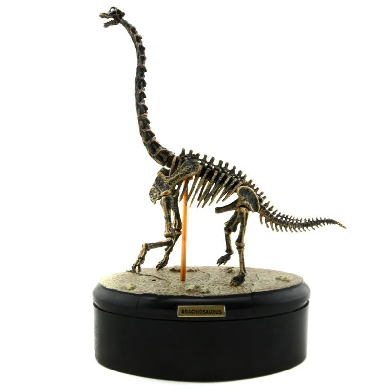 Dinosaur Skeleton Fossil ABS Assembly Dinosaurs Toys Model Building Kits Collection Jurassi Park T-rex Skull Decoration Craft