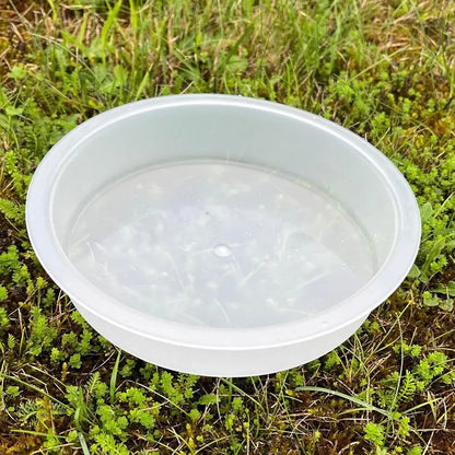 1pcs Bird Feeding Dish Tray Platform Feeder Bird Water Bowl Hanging Bird Bath Outdoor Outside Patio Parrot Tree Garden Courty
