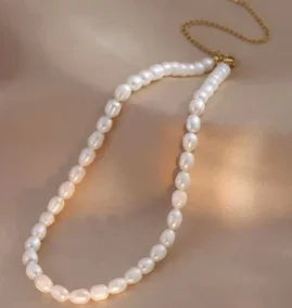 Stainless Steel Vintage Textured Delicate Necklace - C17 A