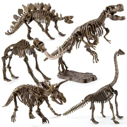 Dinosaur Excavation Fossil Archaeology Scientific and Educational Toy DIY Assembly Simulation Dinosaur Skeleton Animal Model