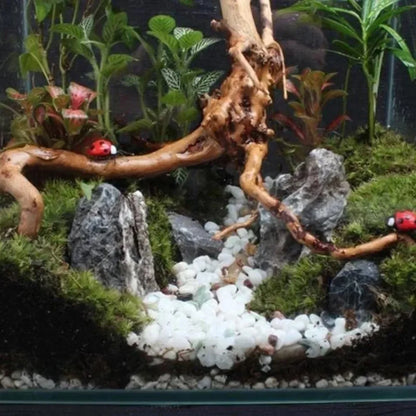 Natural Tree Trunk Driftwood Aquarium Fish Tank Reptile Cylinder Plant Root Wood Decoration Accessory for Aquatic Environment