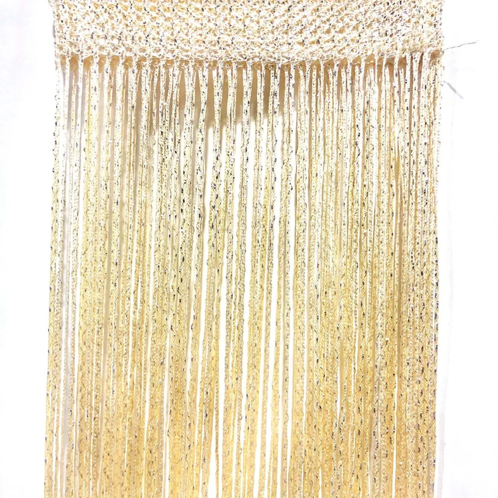 2M*1M String Curtain Panels Door Fly Screen Hanging Beaded Curtains Room Divider Net