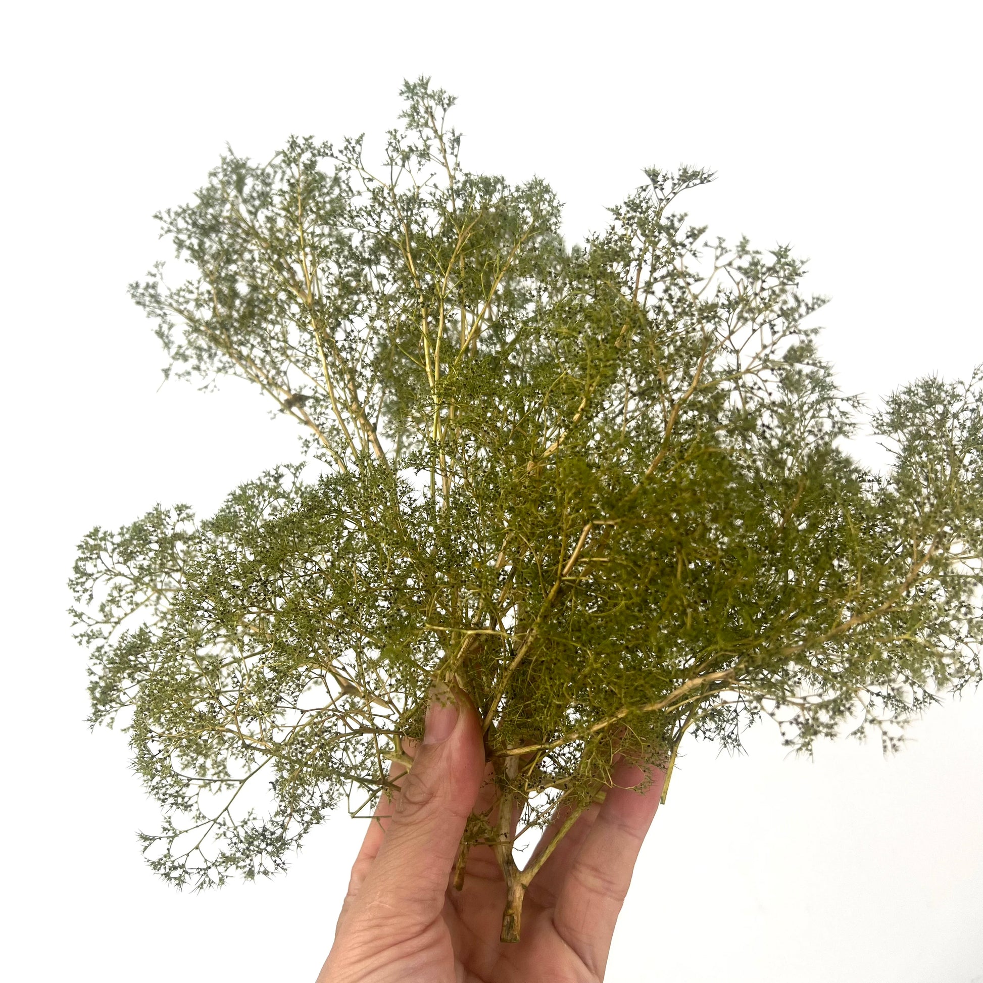 Diorama Sea Foam Trees&Bushes Miniature Vegetation Plants for Ho Diy Model Making/War Scenery/Transformation Kits/Landscape 1