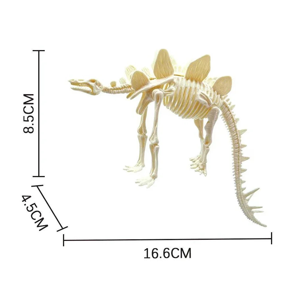 Simulation Dinosaur Fossil Plastic Skeleton Model Children's DIY Handmade Dinosaur Skeleton Assembly Kit Tyrannosaurus Rex Mo