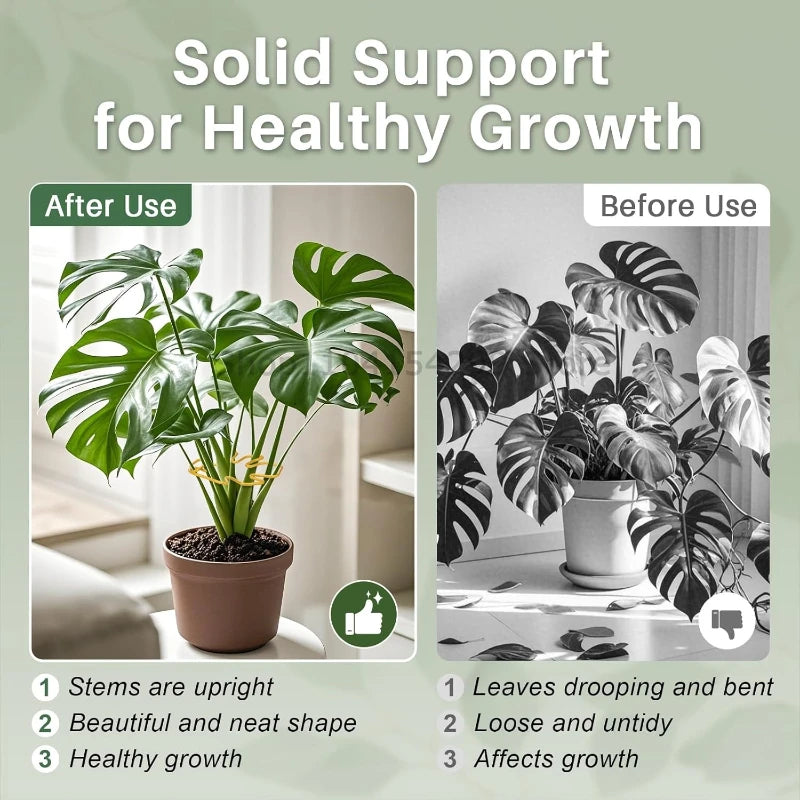Anti-toppling Plant Stem Support No Nail Needed Multi-purpose Flower Climbing Stem Holder Vine Branch Monstera Stabilizer