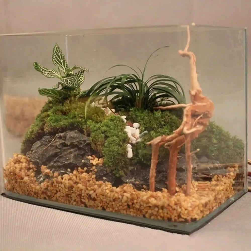 Natural Tree Trunk Driftwood Aquarium Fish Tank Reptile Cylinder Plant Root Wood Decoration Accessory for Aquatic Environment