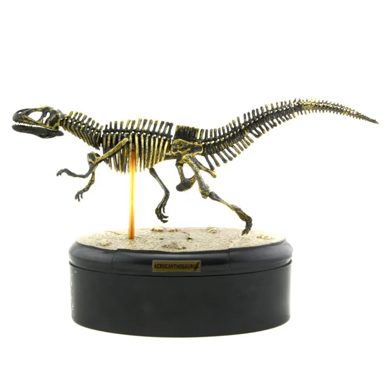 Dinosaur Skeleton Fossil ABS Assembly Dinosaurs Toys Model Building Kits Collection Jurassi Park T-rex Skull Decoration Craft