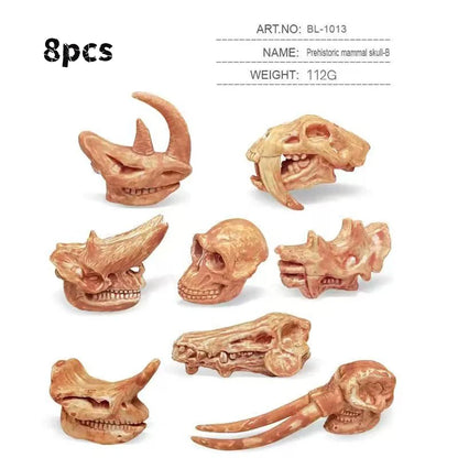 Solid Dinosaur Fossil Model Simulation Hand-painted Vivid Carnotaurus Dinosaur Skull Fossil Figurine for Kids Home Decor - gr