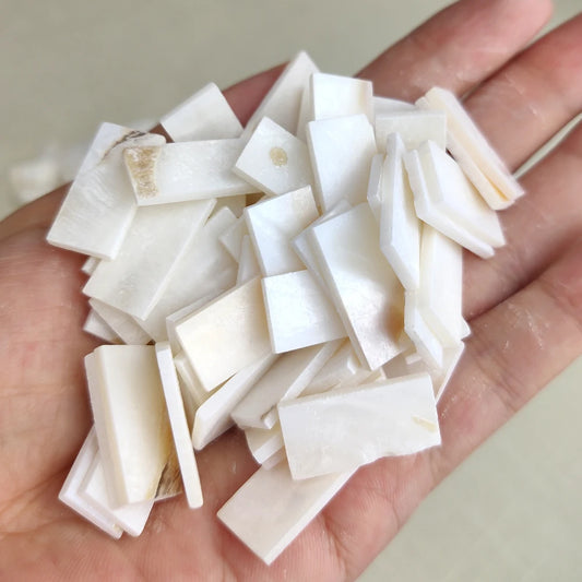 50pc rectangle Mother of Pearl Mosaic Tiles Natural Shell Square Mosaic Pieces for Home Decoration Crafts hobbies arte
