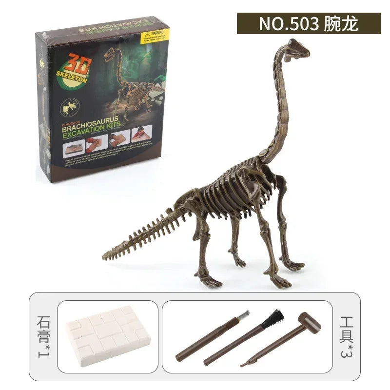 Dinosaur Excavation Fossil Archaeology Scientific and Educational Toy DIY Assembly Simulation Dinosaur Skeleton Animal Model 