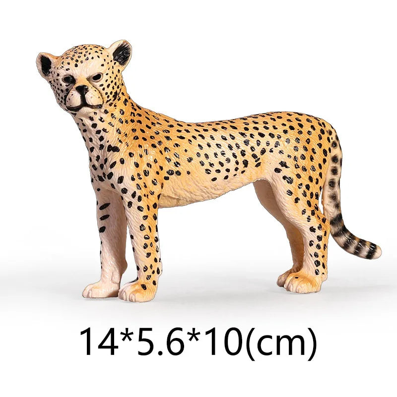 NEW Wild Animal Zoo Tiger Kangaroo Elephant Snake Bear Deer Koala Squirrel Model Figurine Collecta Toy Figures Gift for Child