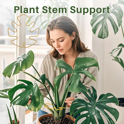 Anti-toppling Plant Stem Support No Nail Needed Multi-purpose Flower Climbing Stem Holder Vine Branch Monstera Stabilizer