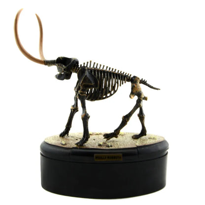 Jurassic World Brachiosaurus Skeleton Fossil PVC Assembly Dinosaur Toys Model Action Figures Best Gift Kids Toys Educational 