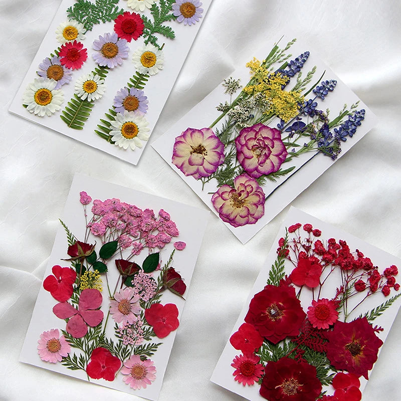 Sewing Accessories, Custom Sewing Kit, Stainless Steel Needles, Fabric Threading Tools, Quilting and Jewelry Making Supplies,